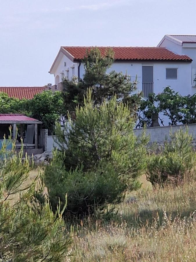 Apartments Ema Vir Eksteriør bilde
